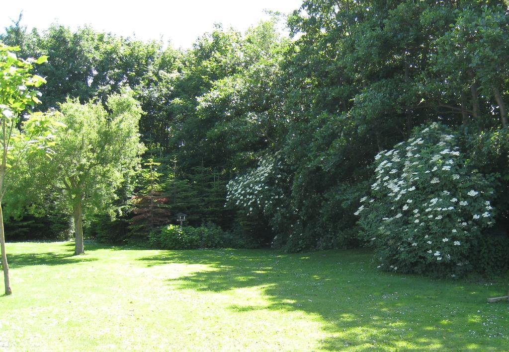 Olholm Cottage Stege Quarto foto